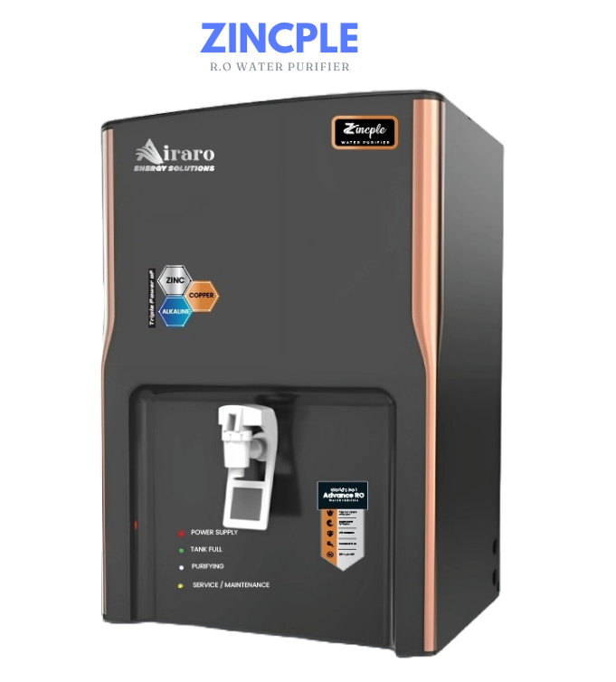 Domestic RO Water Purifier Services